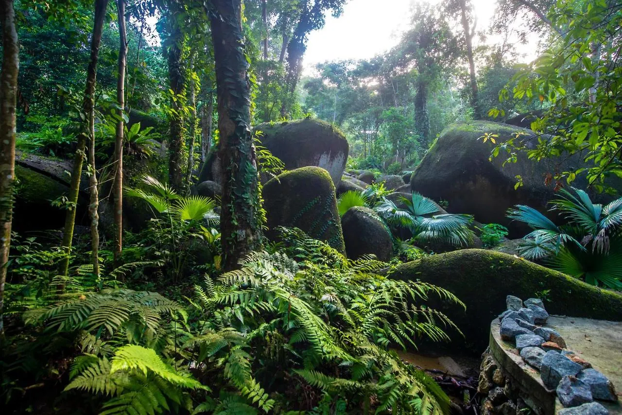 Boulder Valley Batu Ferringhi Luxury tent